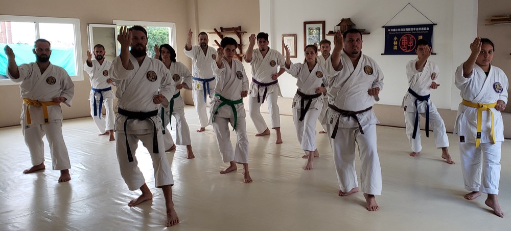 Práctica y encuentros de la escuela Koshinkan — foto 4