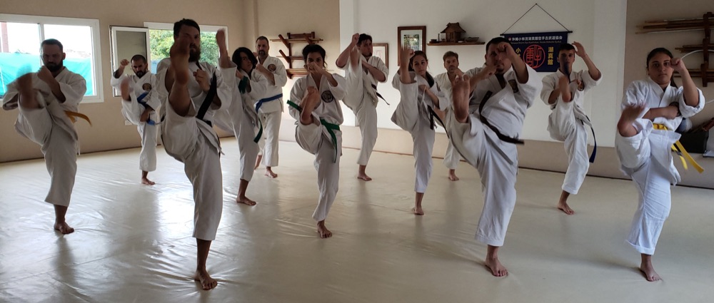 Práctica y encuentros de la escuela Koshinkan — foto 5