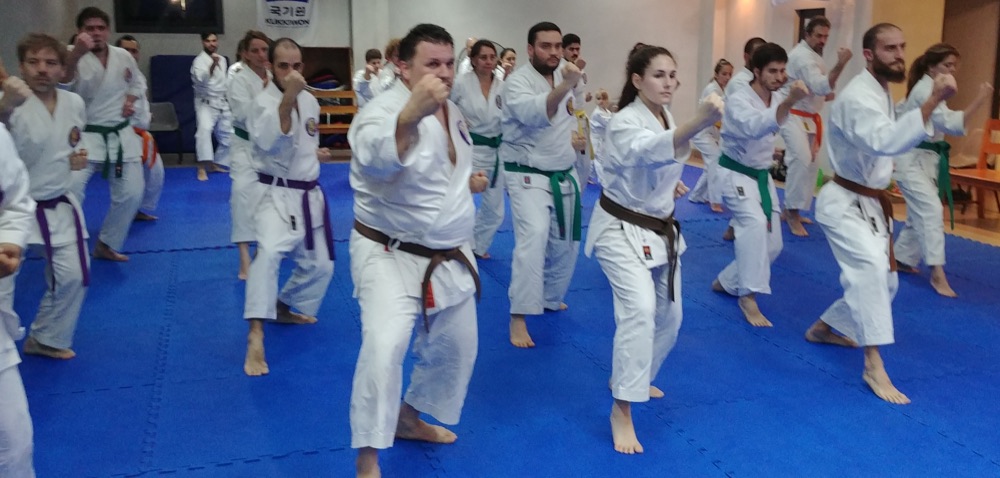 Práctica y encuentros de la escuela Koshinkan — foto 6